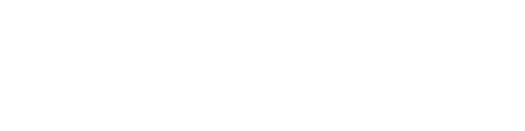 Nexora Typing and Studio L.L.C